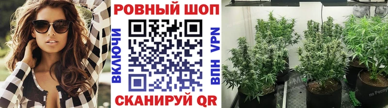 Какие есть наркотики Магас ГАШИШ  OMG зеркало  Меф мяу мяу  COCAIN  Амфетамин 